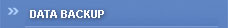  Data Backup
